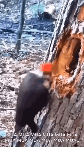 Head Bang Head Banging GIF