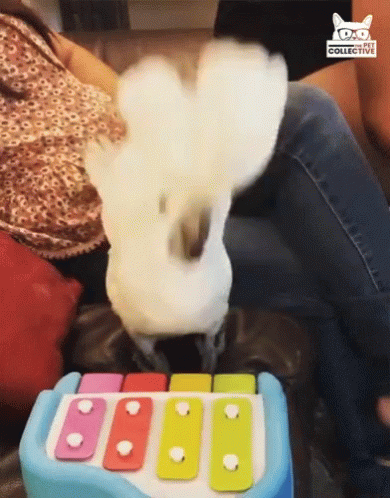 Headbob Jamming Out GIF