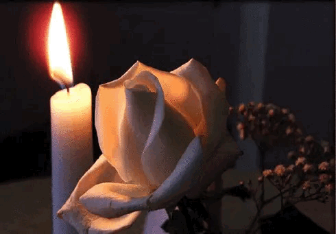 Healingpurrspawty GIF