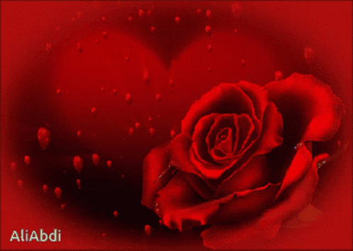 Heart And Flower GIF