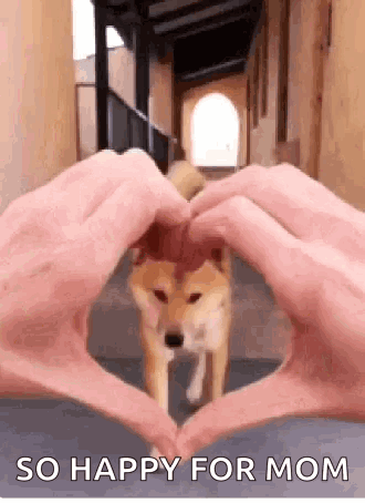 Heart Dog GIF
