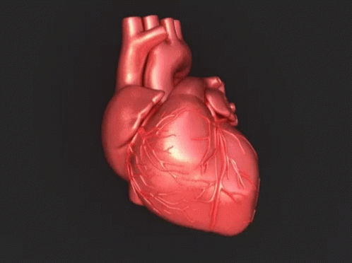 Heart GIF