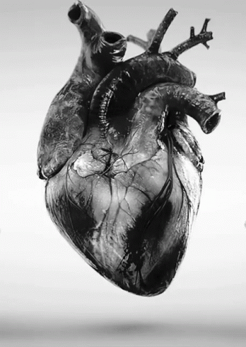 Heart GIF