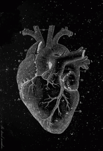 Heart GIF