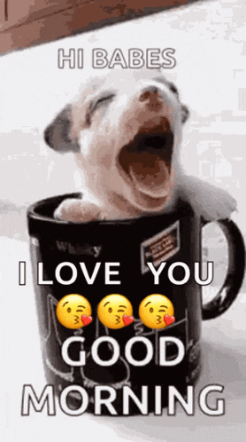 Heart Love GIF