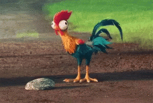 Heart Moana GIF. This 300 x 202 animated GIF is part of our hei hei moana collection. Related themes include chicken, heart. Created by Gabiluiza20. View…