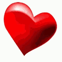 Heart Niqabi Butterfli GIF