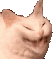 Hehecat Laugh Sticker