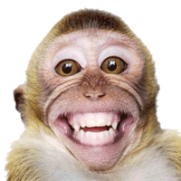 Hehehe Monkey Sticker