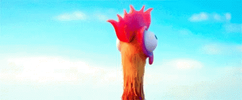 Heihei Moana GIF. This 498 x 207 animated GIF is part of our hei hei moana collection. Related themes include chicken. View the original animation, share…