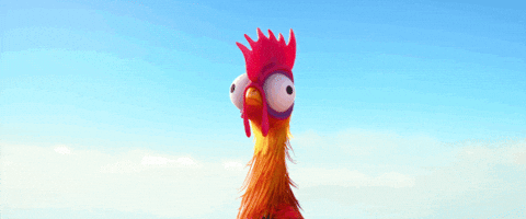 Heihei GIF. This 480 x 200 animated GIF is part of our hei hei moana collection. Created by kleinesfrau. View the original animation, share it, or browse…