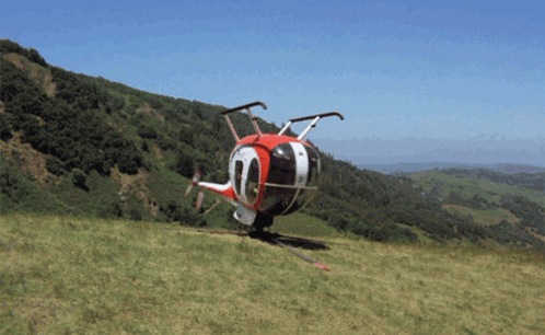 Helebobter GIF
