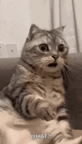 Hell No Oh Hell No GIF
