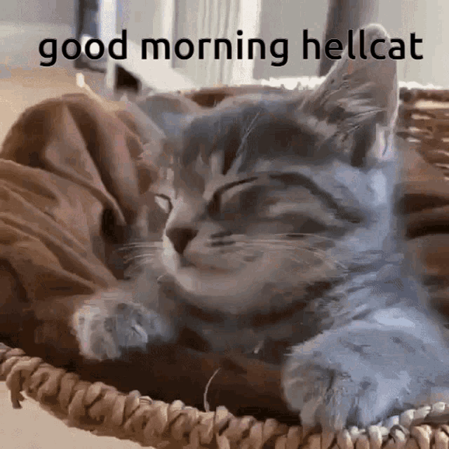 Hellcat GIF