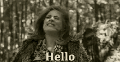 Hello Adelle GIF