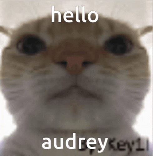 Hello Audrey Auparis GIF