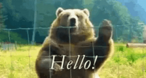 Hello Bear GIF. This 498 x 267 animated GIF is part of our bear waving collection. Created by Tonitonitoni1993. View the original animation, share it, or…