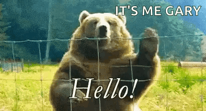 Hello Bear Waving GIF. This 410 x 220 animated GIF is part of our bear waving collection. Related themes include hello, waving. Created by weholance. View…