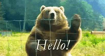 Hello Bear Waving GIF. This 410 x 220 animated GIF is part of our bear waving collection. Related themes include hello, waving. View the original animation…