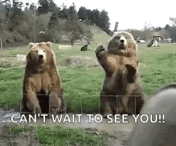 Hello Bears GIF. This 250 x 208 animated GIF is part of our bear waving collection. Related themes include hello. Created by Lasimms. View the original…