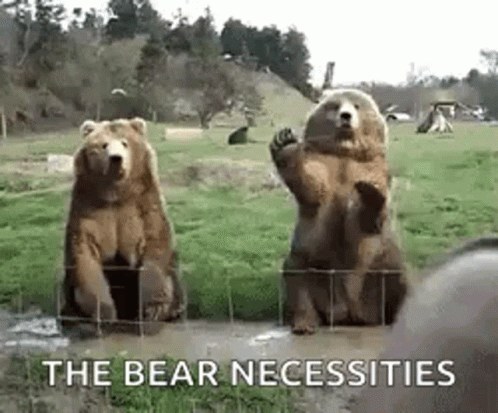 Hello Bears GIF. This 498 x 413 animated GIF is part of our bear waving collection. Related themes include hello, wave. Created by TracyBennett1. View the…