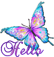 Hello Butterfly Sticker