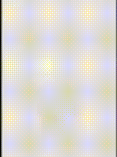 Hello Cat GIF
