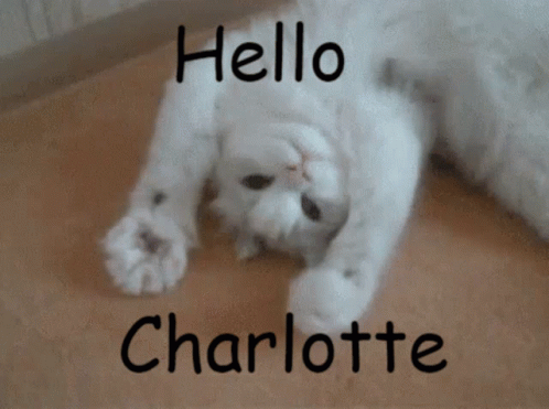 Hello Charlotte GIF