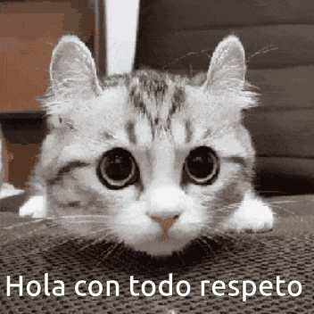 Hello Con Todo Respeto GIF