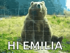 Hello Hey GIF. This 244 x 184 animated GIF is part of our bear waving collection. Related themes include bear, hello, wave. Created by spikey580. View the…