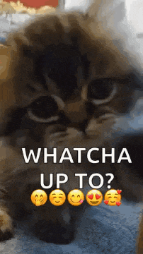 Hello Hi GIF
