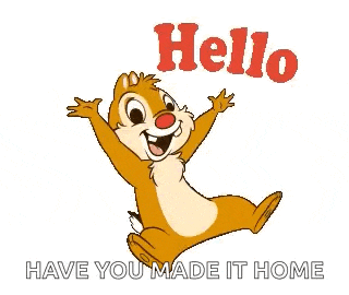 Hello Hi GIF