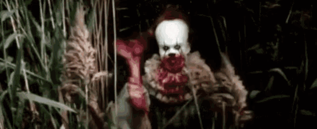 Hello Hi GIF