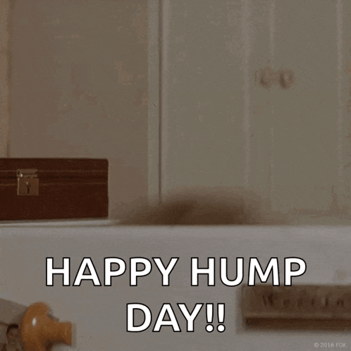 Hello Hi GIF