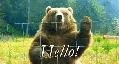 Hello Hi GIF