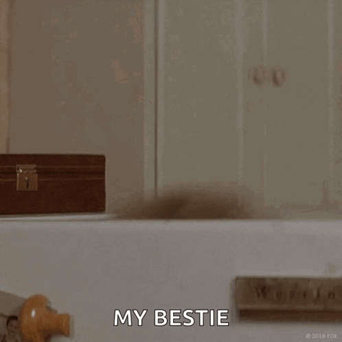 Hello Hi GIF