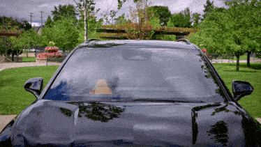 Hello Hi GIF