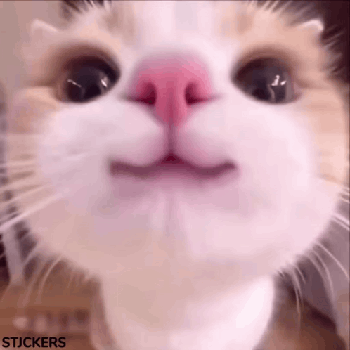 Hello Kitty GIF