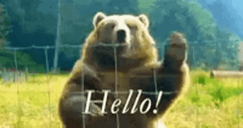 Hello GIF. This 498 x 262 animated GIF is part of our bear waving collection. Related themes include hello. Created by veronica0223. View the original…
