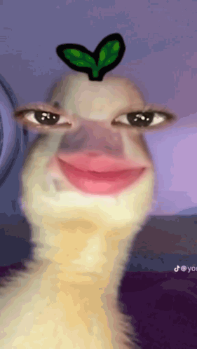 Hello GIF
