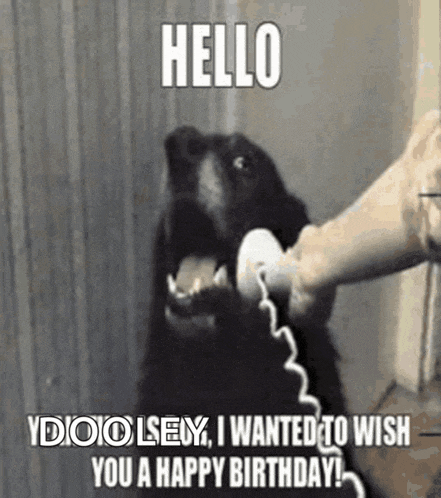 Hello Meme