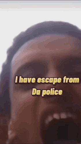 Hello Pigeon GIF