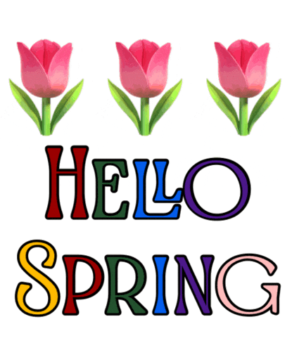Hello Spring Flowers GIF