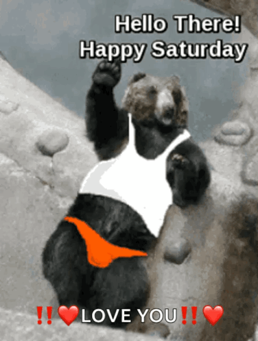 Hello There Happy Saturday GIF. This 376 x 498 animated GIF is part of our lustige bilder samstag collection. Related themes include bear, happy saturday…