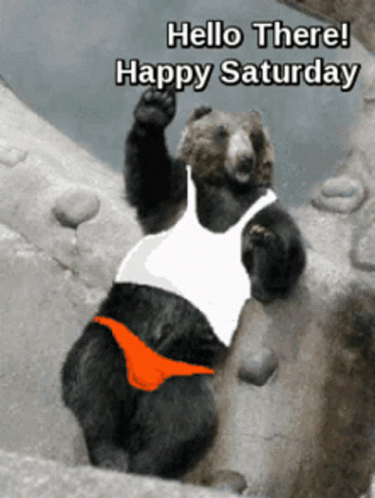 Hello There Happy Saturday GIF. This 375 x 498 animated GIF is part of our lustige bilder samstag collection. Related themes include bear, happy saturday…