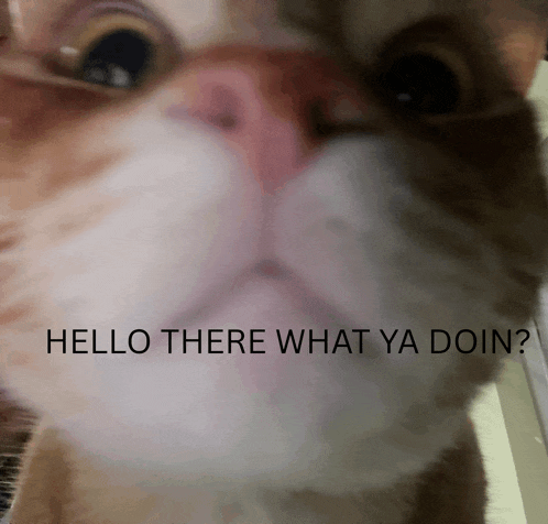 Hello There Hi Meme