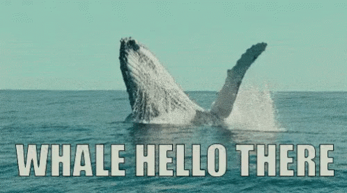 Hello There Well Hello There GIF