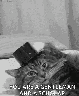 Hello Top Of The Morning GIF. This 332 x 400 animated GIF is part of our simpsons crazy cat lady collection. Related themes include cat, hat tip, hello…
