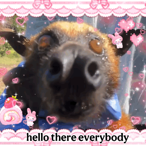 Hellobat Bathello GIF. This 480 x 480 animated GIF is part of our cute bat collection. Related themes include cute, hello there, kawaii. Created by…