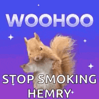 Hemry Woohoo GIF
